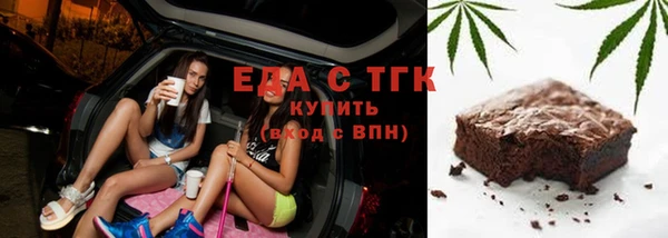 хмурый Алзамай