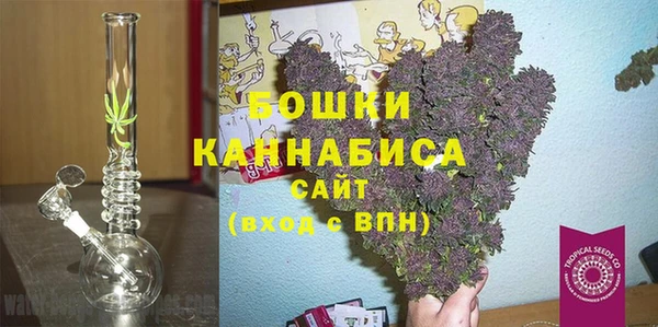 хмурый Алзамай