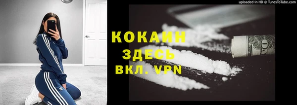 прущие грибы Ростов