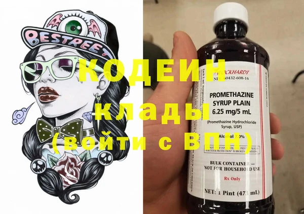 хмурый Алзамай